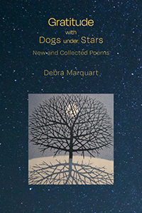 Gratitude with Dogs Under Stars